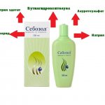 Состав шампуня Себозол