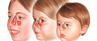 The structure of the nose in children