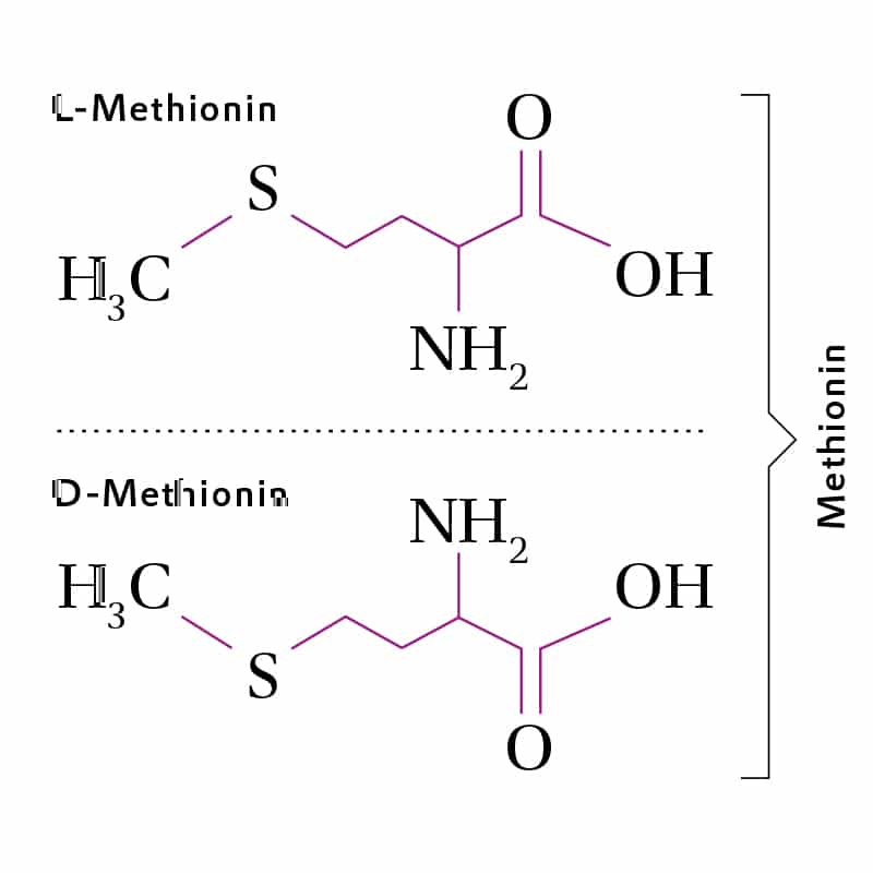 Метанин