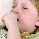 properties of badger fat