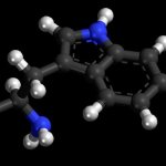 tryptophan evalar instructions