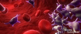 Тромбоциты – форменные элементы крови, основной функцией которых является формирование первичной пробки, закрывающей место повреждения сосуда