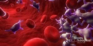 Тромбоциты – форменные элементы крови, основной функцией которых является формирование первичной пробки, закрывающей место повреждения сосуда