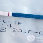 В основе действия тест-полосок на беременность лежит определение ХГЧ в моче