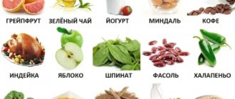 Choleretic foods. Products that normalize metabolism in the body.