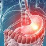 Желудок человека