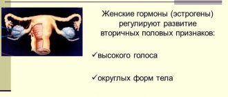 Женские гормоны